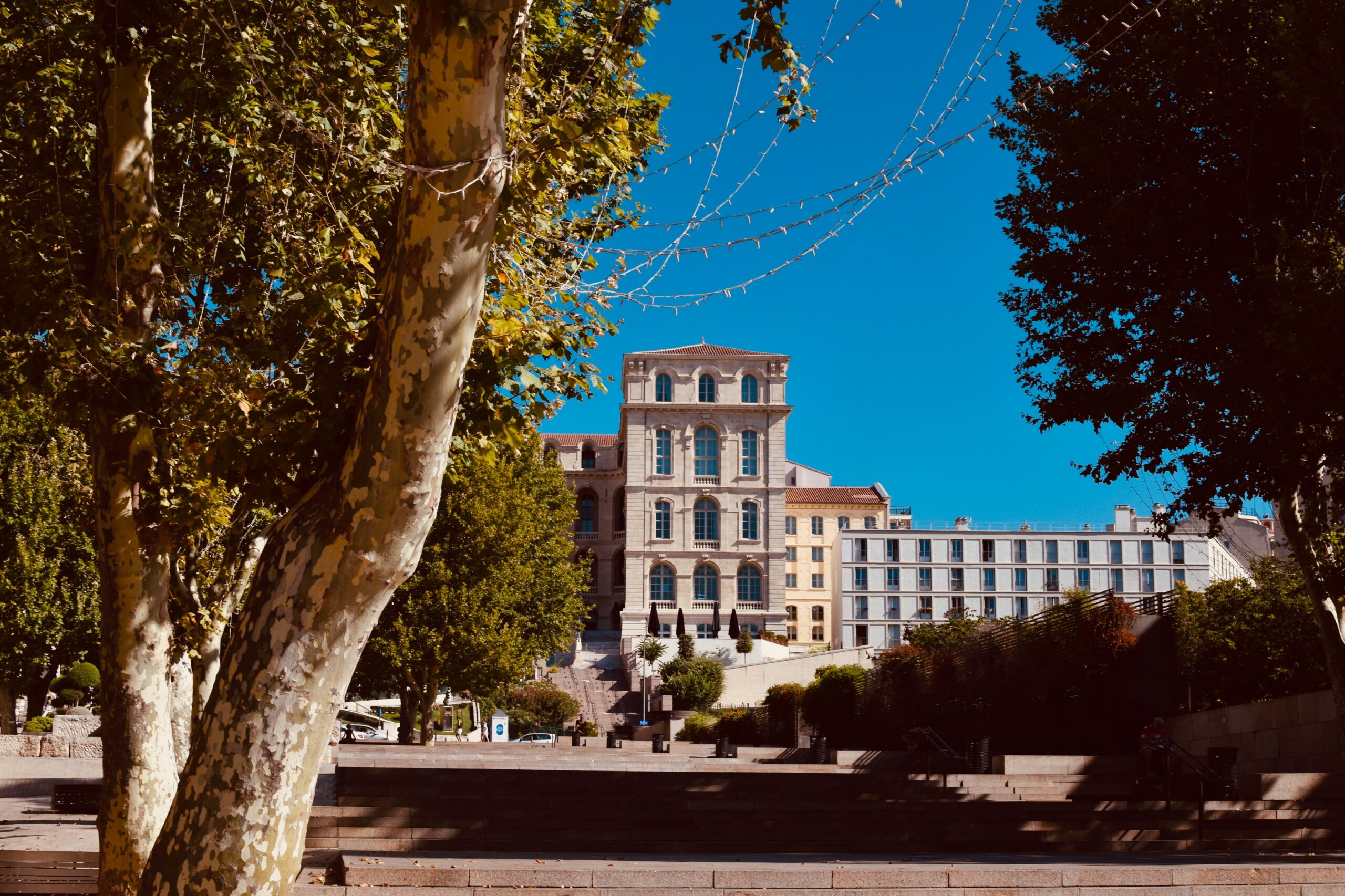 Universidad de Granada – Español